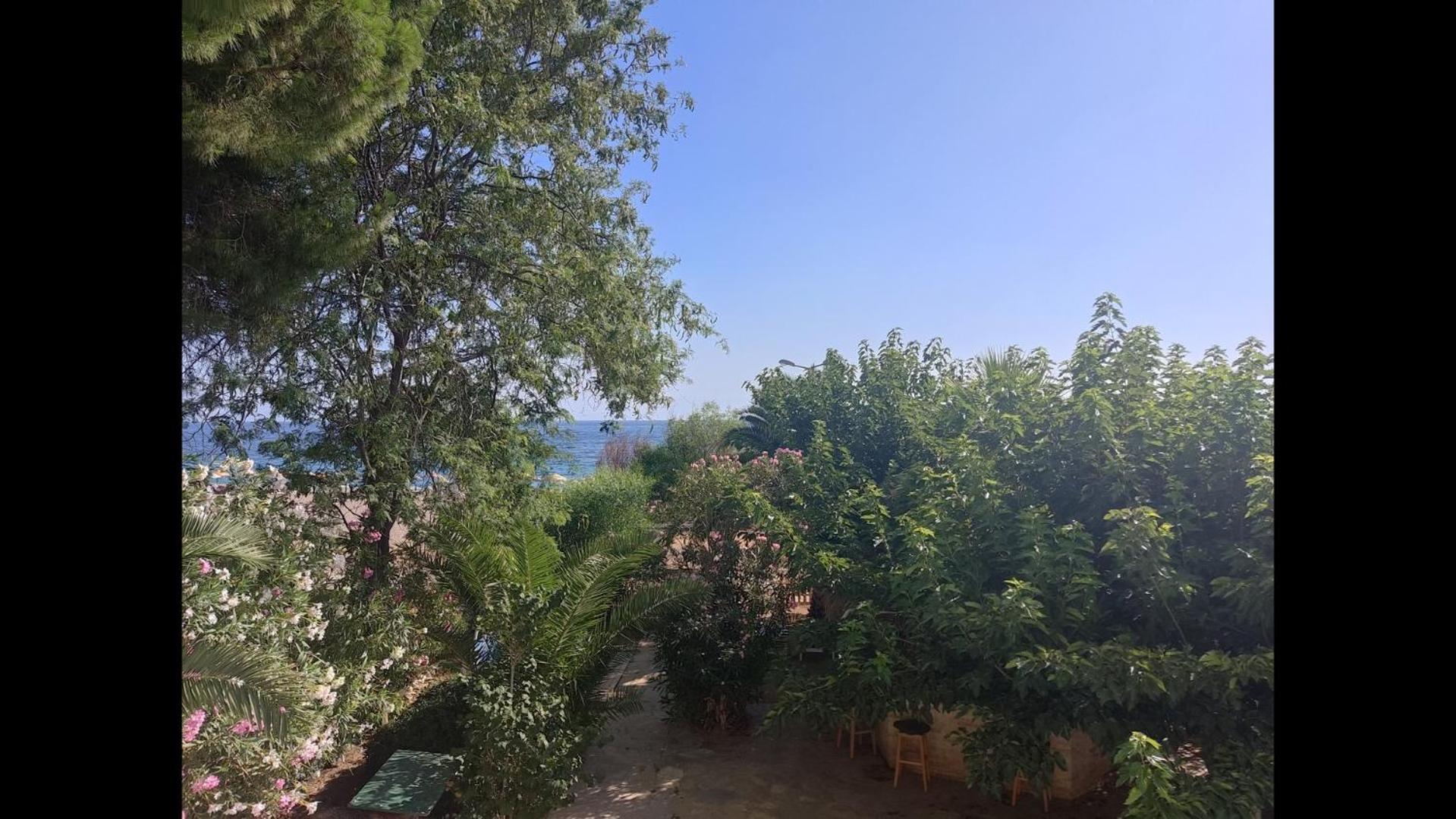 Palmiye Hotel Özdere Exterior foto